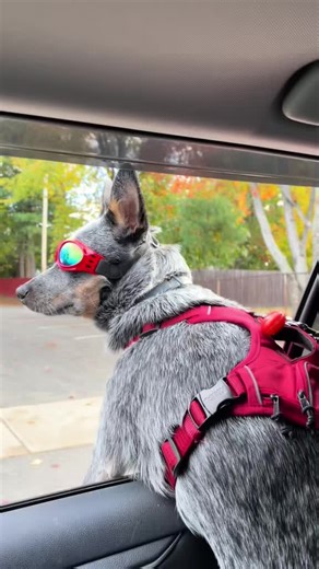 kevintbarry (@kevintbarry)’s videos with original sound - kevintbarry