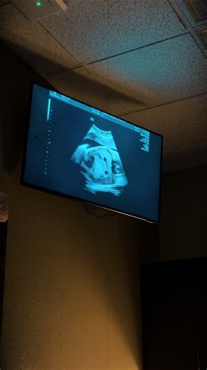 Sigma = Me (@pj_gi)’s videos with original sound - Sigma = Me