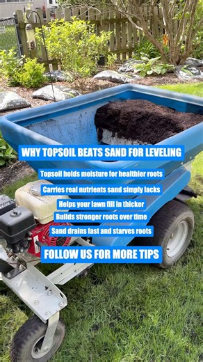 Six Reasons Topsoil Beats Sand for Lawn Leveling #shorts