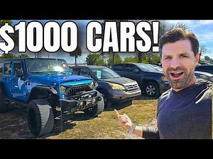 We Found Cheap Cars at the Auction | Getting a Dealer License Update