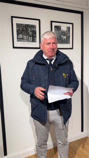 Ed's wrap up of our October Sport Horse Performance Sale | Goresbridge Horse Sales