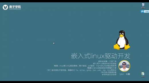linux驱动策略及框架