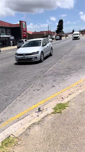 Save Big with Dischem Rewards Card: Daily Vlog