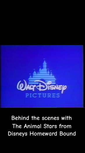 Inearthed the The 1993 Animal Featurette from our Disneys movie Homeward Bound The Incredible Journey. Interviews with the Animal Trainers. #HomewardBound30th #HomewardBound #90smovies #disney #fyp #nostolgia #behindthescenes #TheIncredibleJourney #vhs #90skids