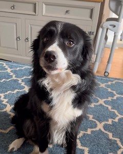 208K views · 10K reactions | Honesty is th3 best policy Casp....I think | TeamCasp47 | Facebook