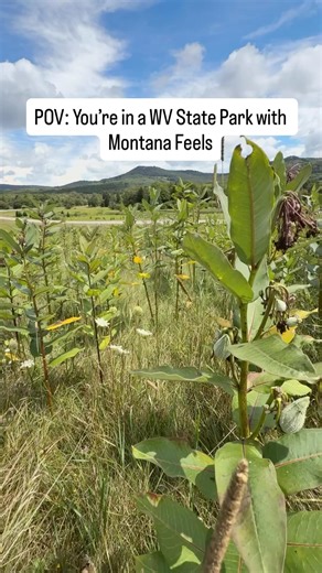POV: You’re in a West Virginia State Park… but it feels like Montana. Endless views. Open skies. Pure Almost Heaven. #wvstateparks #almostheaven #canaanvalley | Canaan Valley Resort