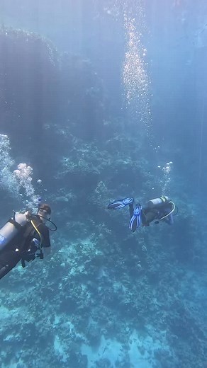 145 reactions |  Pointing out the good stuff… A classic dive moment:...