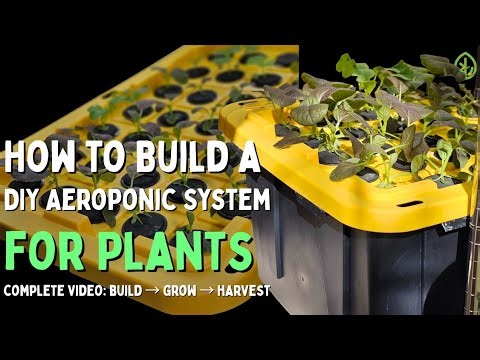 How to Build a DIY Aeroponic System for Plants: Complete Build - Grow - Harvest Steps (Viral Video)
