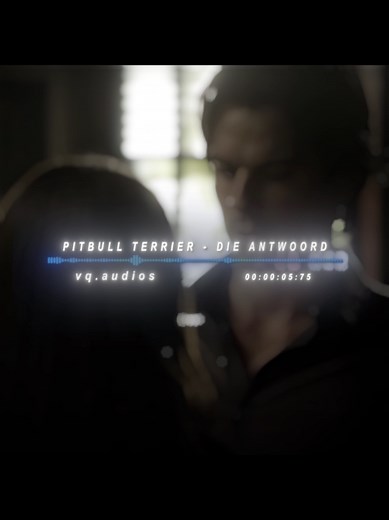 Pitbull Terrier: Inspiring Edits and Audio Moments