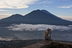 Which Bali volcano should you climb? | Coconuts