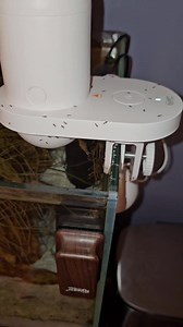 5.7M views · 113K reactions | The best way to get rid of ants for good #pest #ants #diy #tips #spring | David Coleman | Facebook