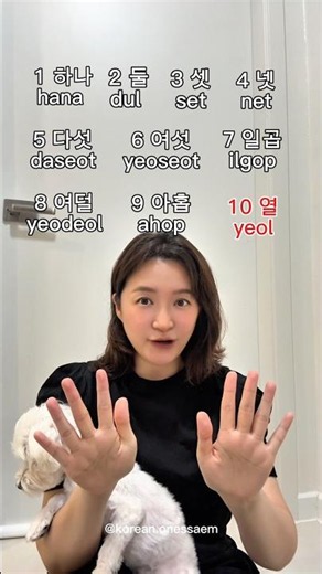 Koreans Use TWO Different Number Systems (And Foreigners Always Mess This Up)