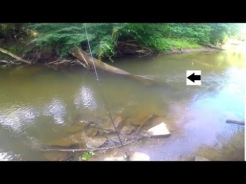 Stalling Spinners For Skamania / Summer Run Steelhead Fishing + Skamania Fishing Tips