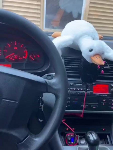 Рекомендовані акаунти