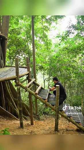 Shelter Camping on a Giant Old Tree House Overnight