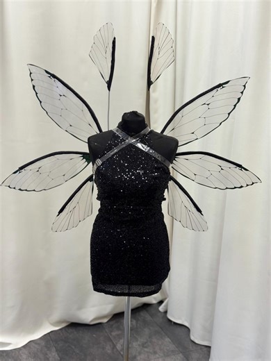 Transparent Black Fairy Wings - Etsy