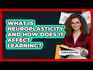 What Is Neuroplasticity And How Does It Affect Learning? - Ultimate Study Hacks