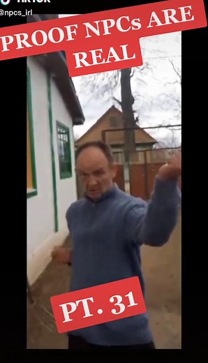 NPC tries to fight player #npcsarereal #npc