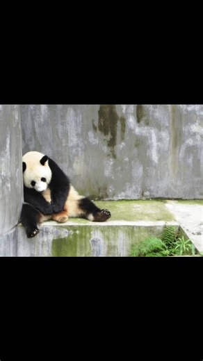 7.8K views · 81 comments | Credit: @uncovering_hidden_truths 易 1....