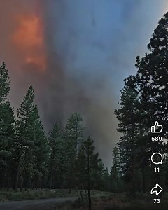 10K views · 246 reactions | Time lapse of a powerful wildfire moving in. Watch other wildfire videos at WildfireHQ on YouTube. | Wildfire HQ | Facebook