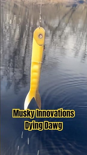 Musky Innovations Dying Dawg Musky Lure #muskyfishing