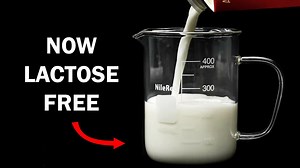 Turning Regular Milk Into Lactose-Free Milk (Science, Not Magic)