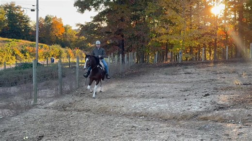 Dukes 3rd ride | Bradley Taylor