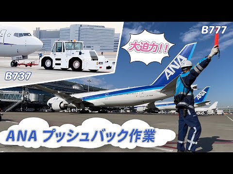 【ANA】臨場感満載！飛行機をバックさせるお仕事、プッシュバックの全貌を大公開！【羽田空港】
