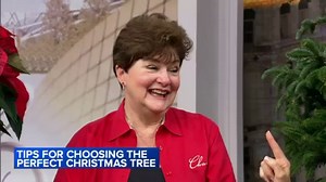 Tips & tricks to picking the perfect Christmas trees, wreaths and poinsettias