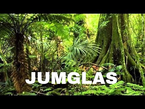 ANIMALES SALVAJES 3 - JUNGLAS - DOCUMENTALES 2019,GRANDES DOCUMENTALES,DOCUMENTALES ESPAÑOL,ANIMALES