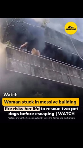 Viral Samachar on Instagram: "Woman stuck"