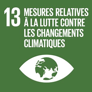 Mesures Relatives à la Lutte Contre Les Changements Climatiques | Nations Unies