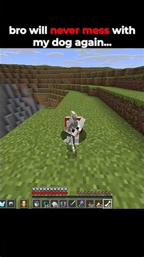 Bro will never mess with my dog 💀 #minecraft