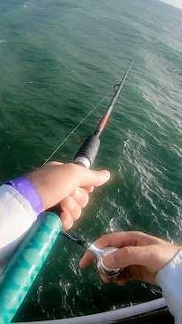 Catching spanish mackerel and jack from Florida Pier