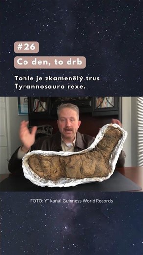 Tohle je největší zkamenělý dinosauří trus na světě 🦖
