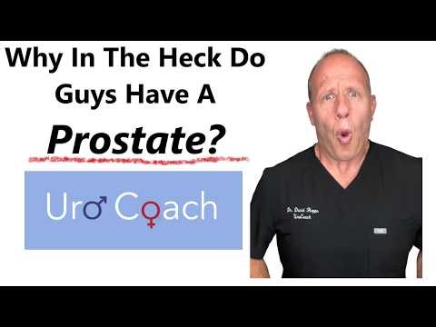 Why the Heck DO Guys Have a PROSTATE? #bph #menshealth #prostatehealth