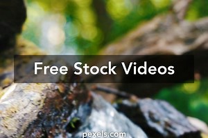 Holi Splash Videos, Download The BEST Free 4k Stock Video Footage & Holi Splash HD Video Clips