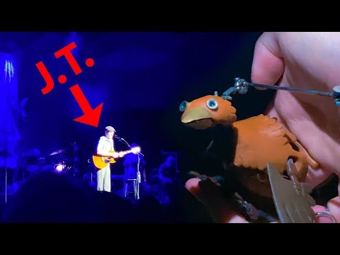 Dabchick saw James Taylor!