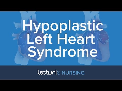 Hypoplastic Left Heart Syndrome (HLHS) | Pediatric Nursing