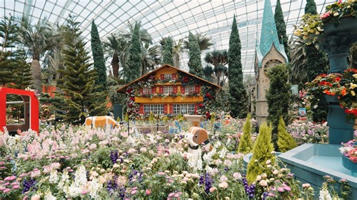 290K views · 426 reactions | ️ Journey through Switzerland's breathtaking landscapes without leaving Singapore! Marvel at over 50 alpine plant varieties, vibrant begonias, and iconic Swiss landmarks like St. Peter's Church and the scenic Glacier Express train! Experience the magic of the Alps in our Flower Dome now till 12 Oct 2025. ️ Book your tickets today! www.gardensbythebay.com.sg/alpineadventure #gardensbythebay #AlpineAdventureGBB #FlowerDome | Gardens by the Bay | Facebook