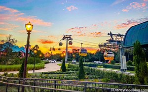 The Ultimate Guide To Disney World Travel Agents | the disney food blog