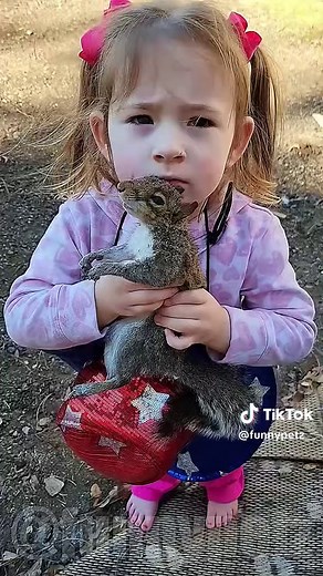 Funniest Squirrel Compilation 😭💀 #funnypetz #funnypets #funnysquirrels #trynottolaugh