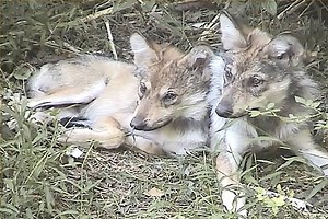 25K views · 5.6K reactions | When we go out into the world, it's best...