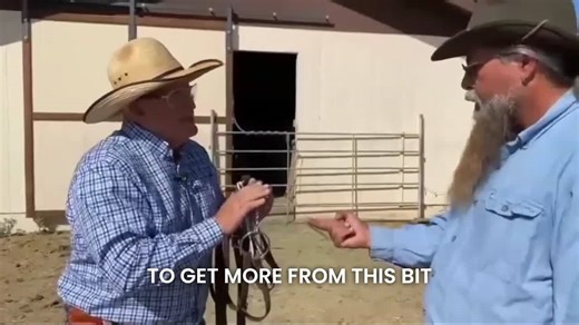 With a twisted wire bit, I don’t have to work as hard to communicate. A smooth snaffle lets the mule brace against you. The twisted wire makes it uncomfortable to resist so you can use less pressure and get more response. Learn more in Steve's full instructional video: Refined Communication. http://go.muleman.co/1aosccc | Queen Valley Mule Ranch, Inc
