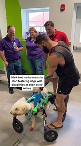 This interaction could lead to multiple dogs being saved.  #belikejosh #belikeford #onlyinmycalvins #PringlesCanHands | Fatherofpaws | Facebook