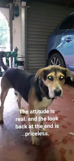 Duncan Fraser on TikTok