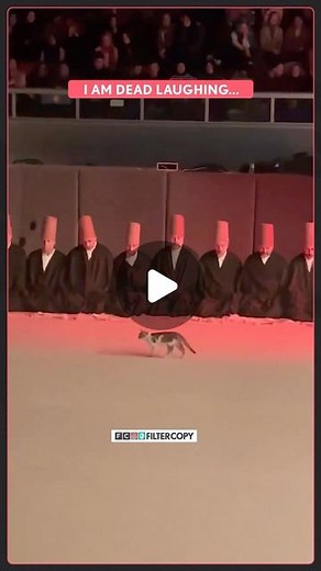 FilterCopy on Instagram: "Watch till the end! 🫶🏻"