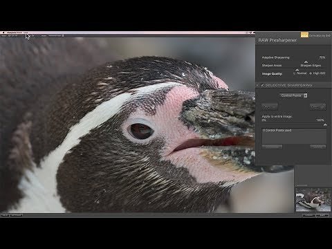 Mastering the Nik Collection- 21: Sharpener Pro 3 RAW Presharpening