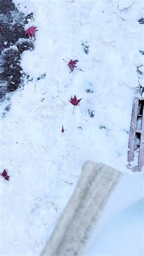 #아이브 #구독부탁합니다 #구독 #포카챠 #눌러주세용 #크리스마스 #떡상기원 #떡상떡상떡상떡상떡상떡상떡상떡상떡상 #떡상떡상떡상떡상떡상떡상떡상떡상떡상떡상떡상