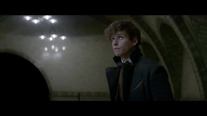 1.4M views · 519 reactions | Phantastische Tierwesen und wo sie zu finden sind Ab 17. November im Kino. Schau dir jetzt den neuen Trailer an! | Phantastische Tierwesen | Facebook